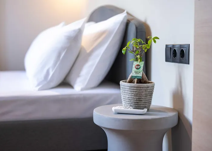 Casa Mare E Olio By About Paxos * 盖奥斯