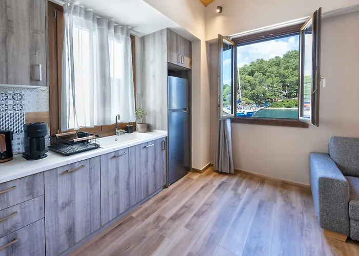 公寓 Casa Mare E Olio By About Paxos 盖奥斯