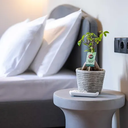 Casa Mare E Olio By About Paxos * ガイオス